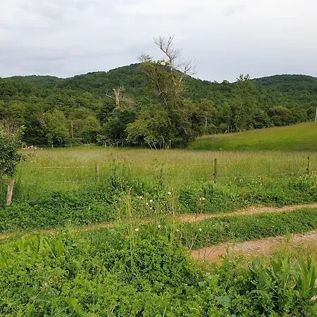 Lepigeonnier-domaine Monbel * Mirepoix (Ariege)